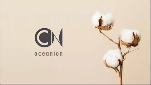 蘇州創(chuàng)博會?？?容易文創(chuàng) ,帶來 這個時代最好的布包