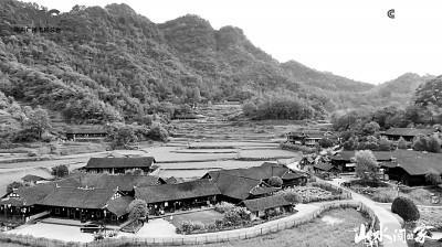 電視文藝創(chuàng)作描繪新時代"三農"嶄新圖景